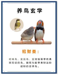 这种鸟为什么不能随便养_邬家因灵鹦鹉兴衰，贪婪招祸因果报应