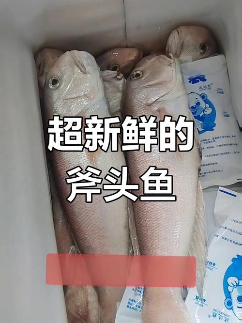 斧头鱼能发光吗_斧头鱼巧用发光伪装,躲避天敌 斧头鱼能发光吗_斧头鱼巧用发光伪装,躲避天敌