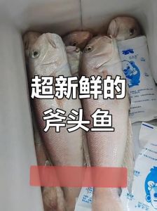 斧头鱼能发光吗_斧头鱼巧用发光伪装，躲避天敌