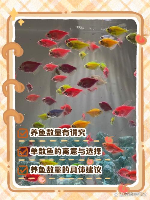 养淡水鱼要多大的缸好_选对鱼缸尺寸，鱼儿健康水质稳！