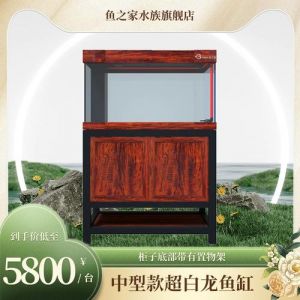 懒人免换水金鱼缸_鱼水草自循环，新手养鱼轻松乐